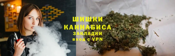 стафф Вязьма